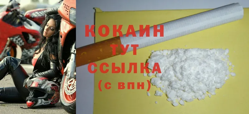 наркошоп  Выборг  гидра ССЫЛКА  Cocaine FishScale 